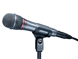 Audio-Technica AE6100 Hypercardioid Dynamic Vocal Microphone