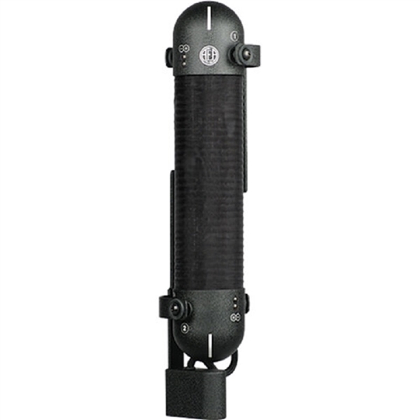 AEA Ribbon Mics R88A Phantom-Powered Mic