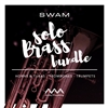 Audio Modeling SWAM Solo Brass bundle