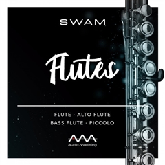 Audio Modeling SWAM Flutes