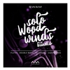 Audio Modeling SWAM Solo Woodinds Bundle Upgrade from SWAM Clarinets and Double Reeds