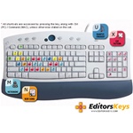 AskVideo Reason Key Command Keyboard Stickers