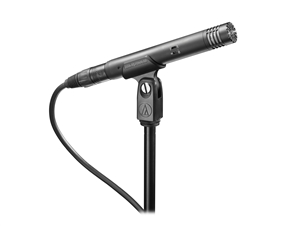 Audio-Technica AT4021 - End-address Cardioid Condenser Microphone