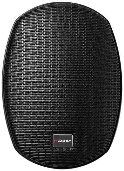 Ashly AW5.2T 5 inch 2-Way Surface-Mount Speakers with High Output 30W Xfmr Black