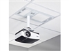 Chief CMS491CP2 - 1' x 2' Plenum Rated Storage Box and Column Drop with 2-Gang Filter & Surge