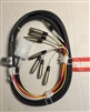 Rapco Horizon DA88-5F, DB25 to 8, XLR Female 8-Ch Snake Cable. 5 Ft.