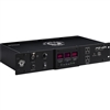 Black Lion Audio PG-2R 2 RU Rack-Mounted Power Regulator & Conditioner