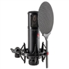 sE Electronics sE2300-U Large-diaphragm Condenser Microphone