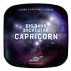 Vienna Symphonic SYT24 Big Bang Orchestra  Capricorn