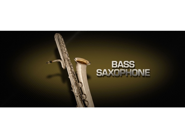 Vienna Symphonic Library Bass Saxophone Upgrade to Full Library - Vienna Instrument (Download)