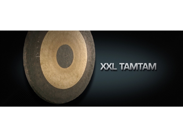 Vienna Symphonic Library XXL Tam-tam Upgrade to Full