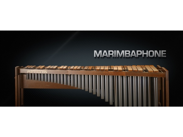 Vienna Symphonic Library Marimbaphone Standard