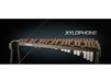 Vienna Symphonic Library Xylophone Upgrade to Full