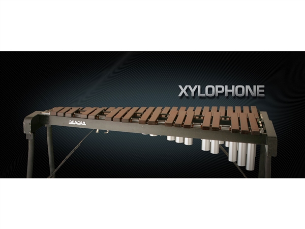 Vienna Symphonic Library Xylophone Full