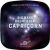 Vienna Symphonic Library Big Bang Orchestra: Capricorn Virtual Instrument (Download)