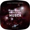 Vienna Symphonic Library Big Bang Orchestra: Musca Low Strings Virtual Instrument (Download)