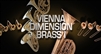 Vienna Symphonic Library VSLV24F Vienna Dimension Brass I Full Library - Virtual Instrument (Download)