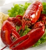 Live 2.0 lb Maine Lobster