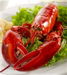 Live 1.5 lb Maine Lobster