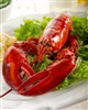 Live 1.1 lb Maine Lobster
