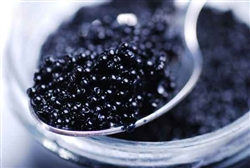 White Sturgeon Osetra Caviar