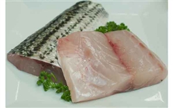 Striped Bass