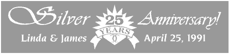 Silver 25th Anniversary Banner with Starburst Seal
