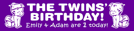 Twins Birthday Banner Girl and Boy