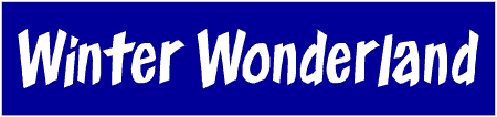 Winter Wonderland 1 Line Custom Text Banner