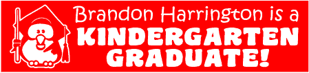 Kindergarten Graduation Owl Banner 2