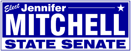 Block Style State Senate Political Campaign Banner