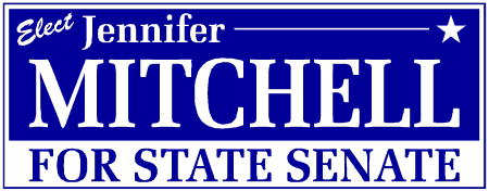 Serif Style State Senate Political Campaign Banner