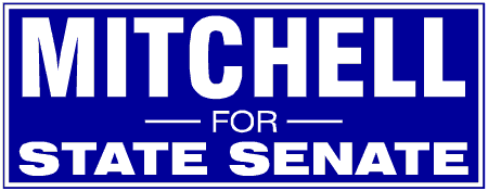 Dark Background Block Style State Senate Political Campaign Banner