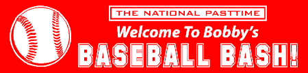 Baseball Bash Banner