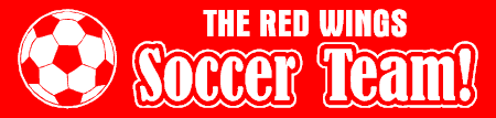 Soccer Team Banner