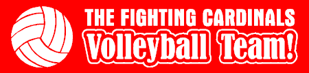 Volleyball Team Banner