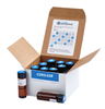 Coxsackie Series Symptom Relief: Series Kit (10 vials)