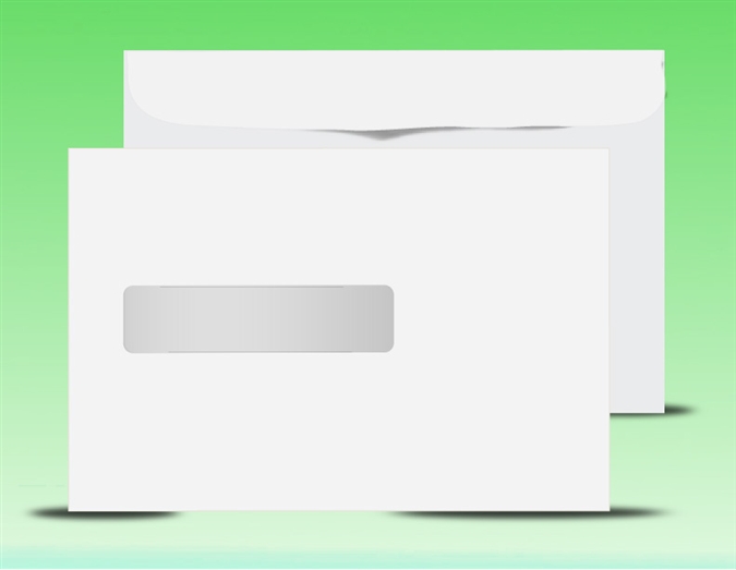 Digi-Clear Window Booklet Envelopes, 6 x 9, 24#, #3-Style