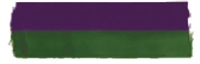 1/2" Nylon Purple/Green