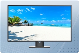 Dell P4317Q 43" 4K LED LCD Monitor from Aventis Systems
