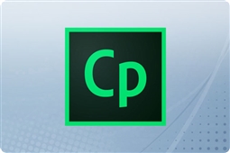 Adobe Creative Cloud Captivate for Teams 12 Month Renewal License from Aventis Systems
