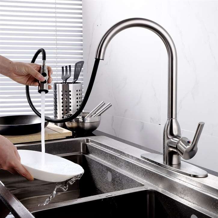 Abrantes Kitchen Sink Faucet with Pull Out Sprayer