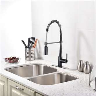 Milan Single Handle Kitchen Faucet with Pull Down Sprayer