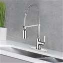 Lazio Single Handle Kitchen Faucet with Pull Down Sprayer