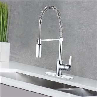Naples Single Handle Kitchen Faucet with Pull Down Sprayer