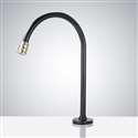 Fontana Commercial Black and Gold Restroom Faucet