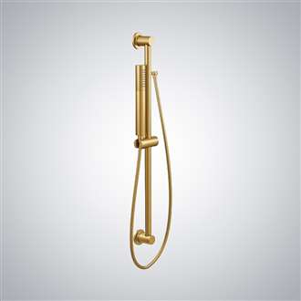 Brushed Gold Handheld Shower 1-Spray Handheld Shower