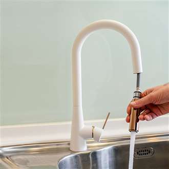 Rome Single Handle Kitchen Sink Faucet with Pull Down Sprayer
