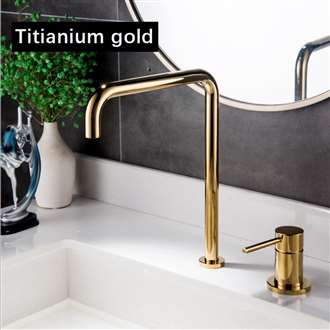 Fontana Valence Titanium Gold Finish Hot and Cold Kitchen Faucet
