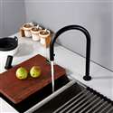 Fontana Carpi Matt Black Swivel Faucet with Pull Down Sprayer